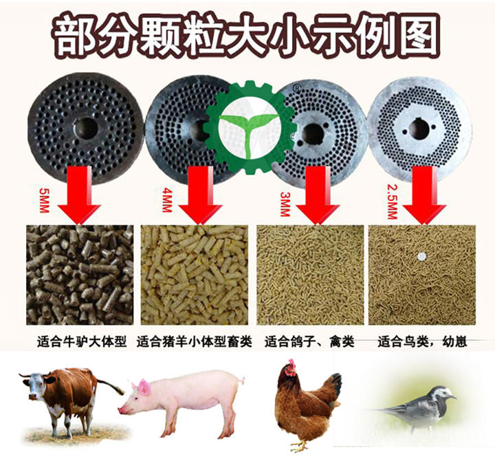 manbet·(中国区)手机版官网入口