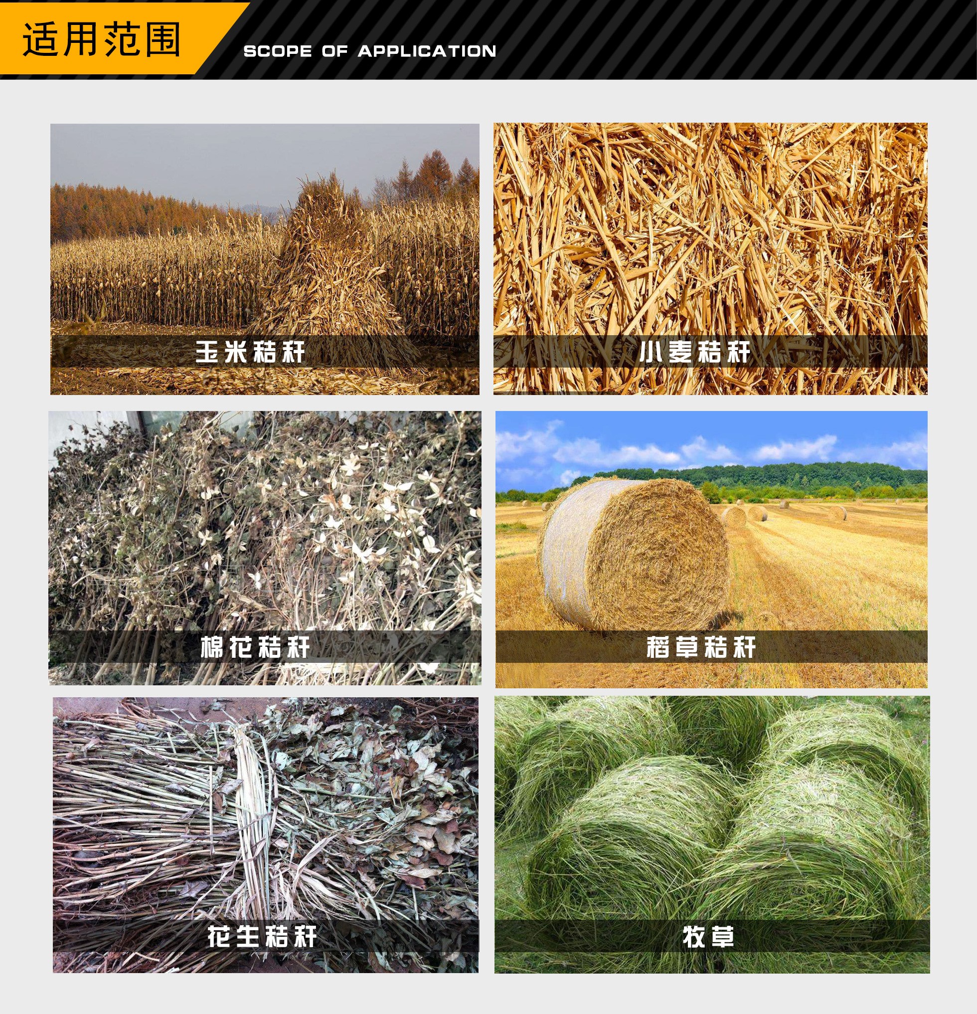 manbet·(中国区)手机版官网入口