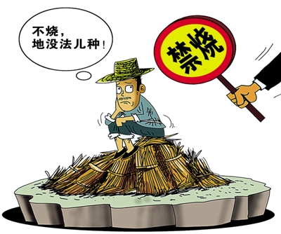 生物质颗；；；；；；