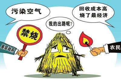 生物质颗；；；