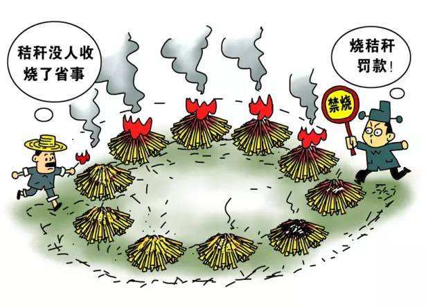 生物质颗；；；；
