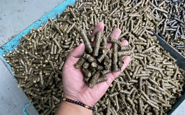生物质颗；；；；；；庸さ娜剂