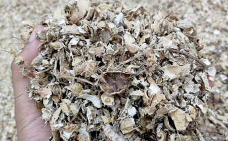 为什么有人愿意花钱买生物质燃料颗粒；；；醇庸さ究腔ㄉ悄？？？？？？有须要吗？？？？？？