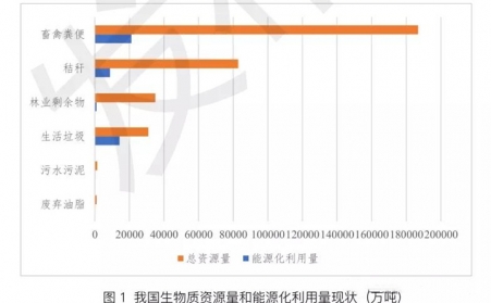 碳中和浪潮，，，，生物质能将迎来大生长