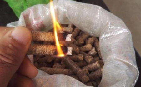 生物质颗；；；；；；目帕Ｈ剂虾兔耗母鲎灾？？？？？？