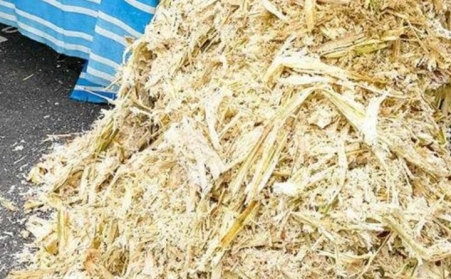 甘蔗渣想废物使用？？？？？？可以思量生物质颗；；；；；；