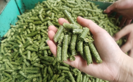 河南支持生物质能等可再生能源替换，，助力实现碳达峰碳中和目的