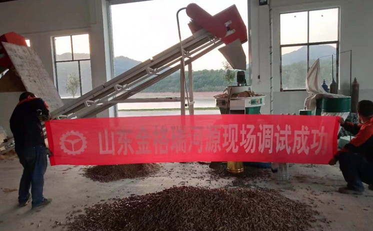 广东河源木屑颗；；；；；；魇岳殖